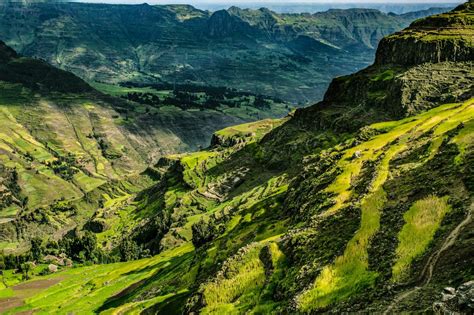  Environmentalism on the Ethiopian Plateau: A Literary Voyage