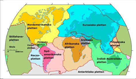  Skeletons – En Ond Dröm I Det Södra Afrikanska Solstrålet